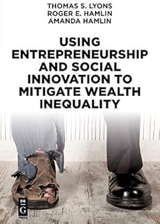 Using Entrepreneurship and Social Innovation to Mitigate Wealth Inequality (English Edition)