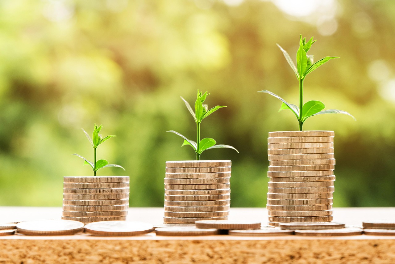 discover effective financial forecasting techniques to predict future financial performance and make informed business decisions.