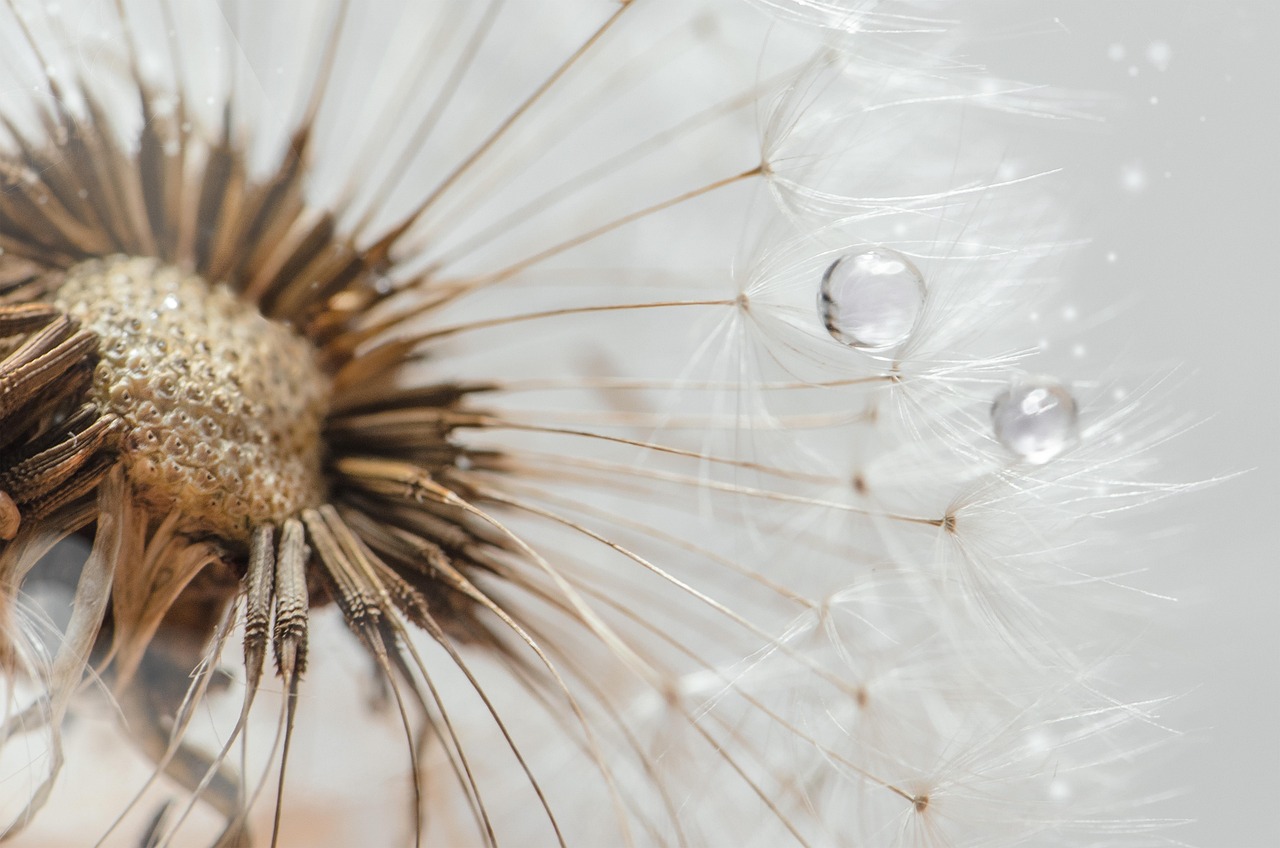 understanding seed funding for startups: a beginner’s guide