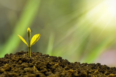 The Secret to Sustainable Business Growth